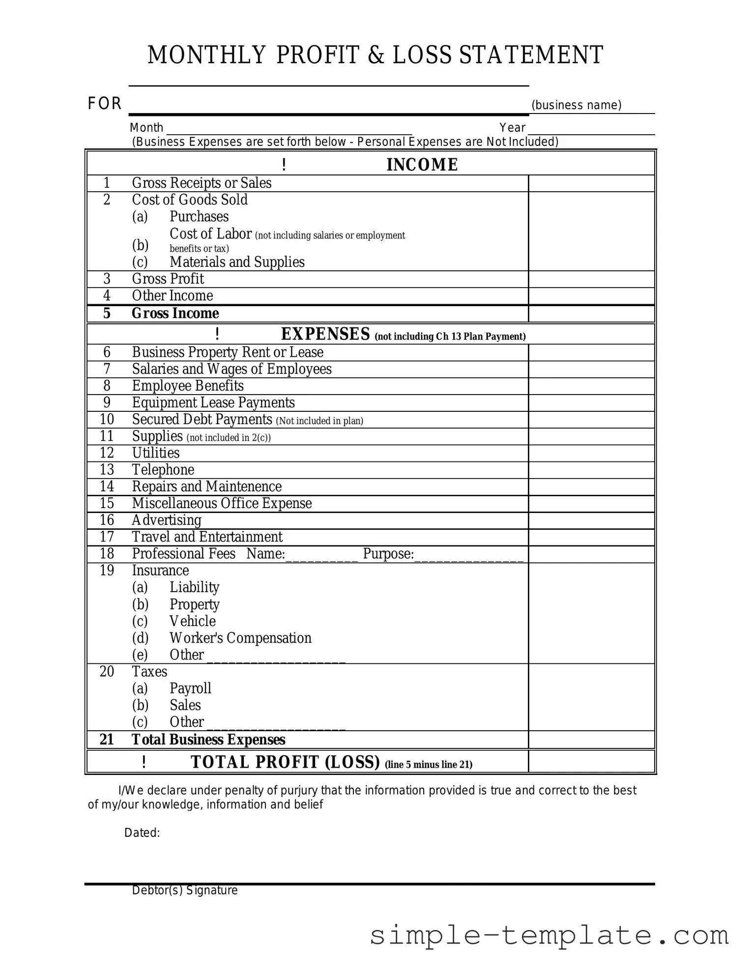 Free Profit And Loss Form in PDF
