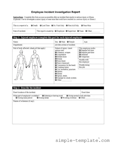 Free Employee Accident Report Form in PDF