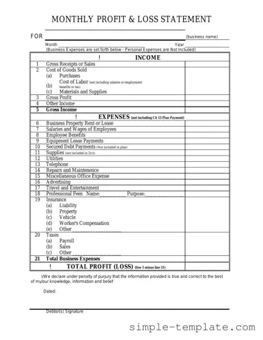 Free Profit And Loss Form in PDF