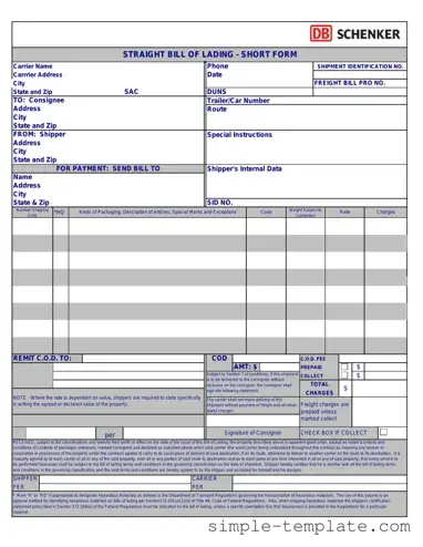 Free Straight Bill Of Lading Form in PDF